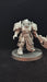 Female Custodes / Space Marine Heads - Set of 5 - Archies Forge