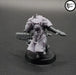 Legio Draconis Capes - Set of 5 - Archies Forge