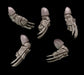 Legio Sanguine - Lightning Claws - Set of 5 - Left Handed - Archies Forge