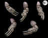 Legio Sanguine - Lightning Claws - Set of 5 - Left Handed - Archies Forge