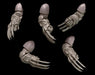 Legio Sanguine - Lightning Claws - Set of 5 - Right Handed - Archies Forge