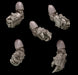 Legio Sanguine - Power Fists - Set of 5 - Left Handed - Archies Forge