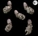 Legio Sanguine - Power Fists - Set of 5 - Left Handed - Archies Forge