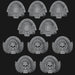 Honour Guard Shoulder Pad - Ultramarines - Set of 10 - Archies Forge